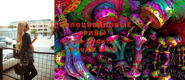 ГАЛЛЮЦИНОГЕННЫЕ ГРИБЫ Арсеньев