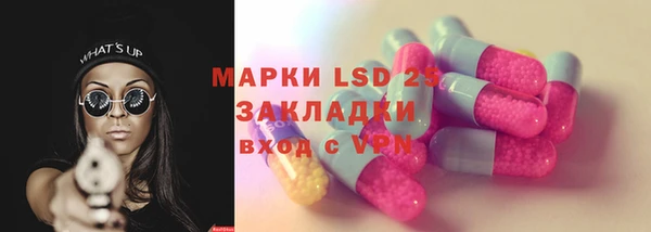 ГАЛЛЮЦИНОГЕННЫЕ ГРИБЫ Арсеньев