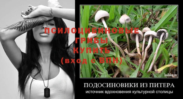 ПСИЛОЦИБИНОВЫЕ ГРИБЫ Саяногорск