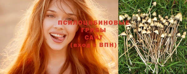 ГАЛЛЮЦИНОГЕННЫЕ ГРИБЫ Арсеньев