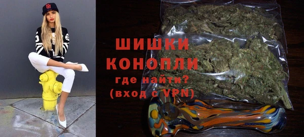 ГАЛЛЮЦИНОГЕННЫЕ ГРИБЫ Арсеньев