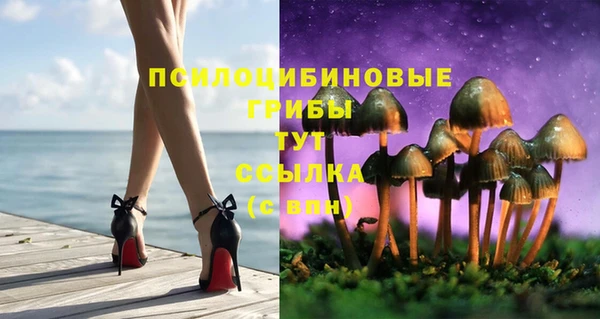 ГАЛЛЮЦИНОГЕННЫЕ ГРИБЫ Арсеньев